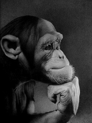 THE THINKER 